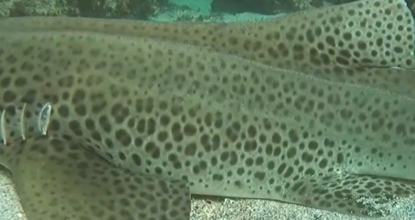 896fa302-dd60-4a22-b5e1-546efd7307f0