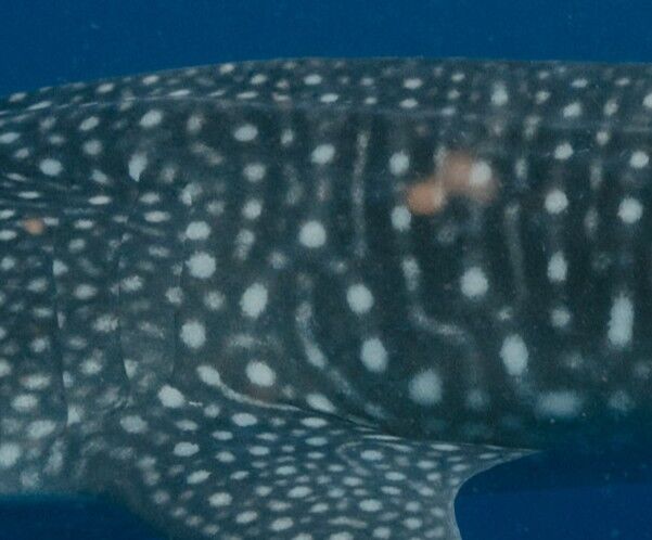 da9f06d6-88ba-4a77-9ec4-900ddb7727af