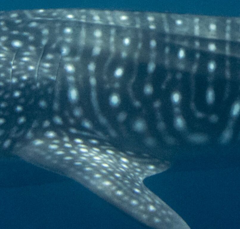 ecefd792-1c7a-4d92-9cae-6b6eb7147085