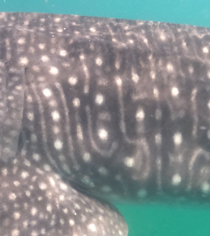 80b13dae-14cf-451b-afc5-1d26399cb5a3