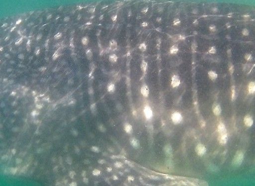 18481727-b93a-4e2a-bc92-547c841113ad