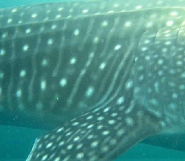 8cf1f9fd-a14f-4877-892d-0e36e17c9f68