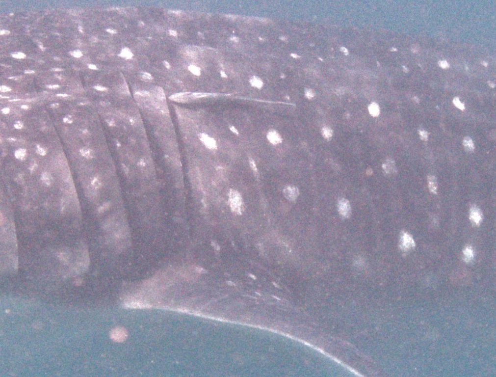 b8dfc1b5-29a0-47b4-996c-3501469bfacc