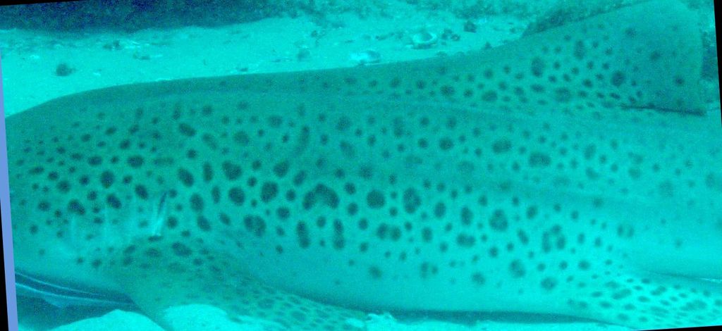 3c8564c5-ab9c-4b06-926f-c6a1b0e673e5