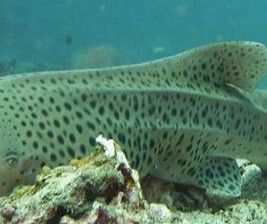 fb9950a8-83ac-464e-87df-2d8bfdbace8b