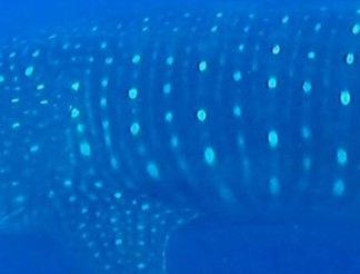 4fb6a8c0-c771-43fc-8e3a-e3f18a009790