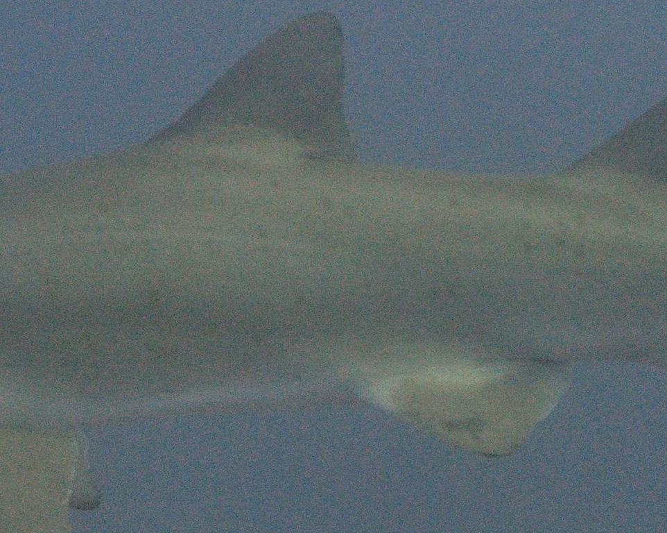 2dc9b0a1-44b7-40e7-8b70-808b604e09b6