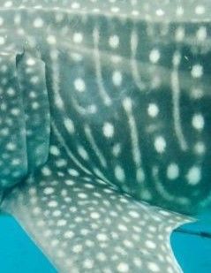 8552fbcc-6448-47b4-93c2-6e7c0b42397b