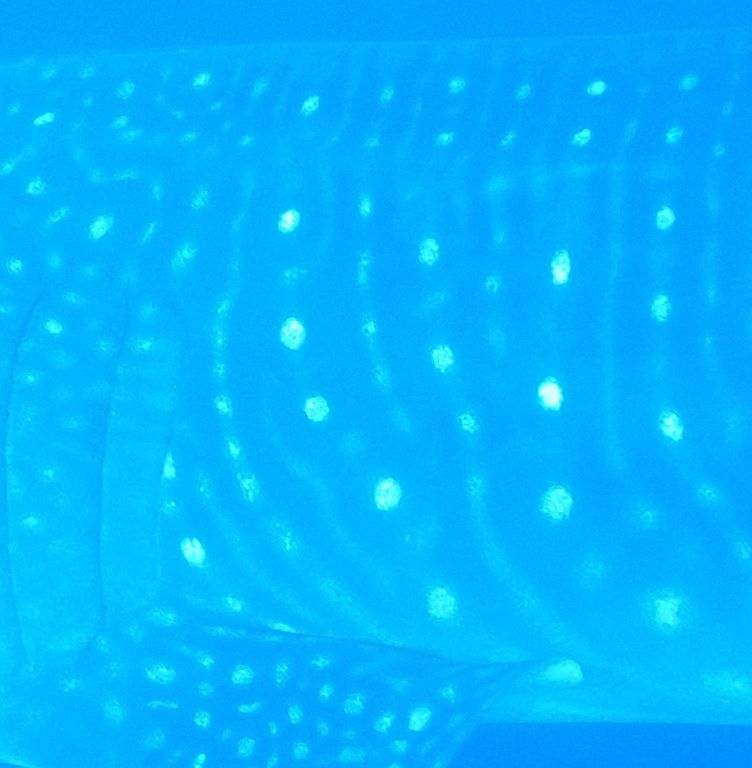 b582fa71-1aea-4ffd-add1-75a87b31f2bc