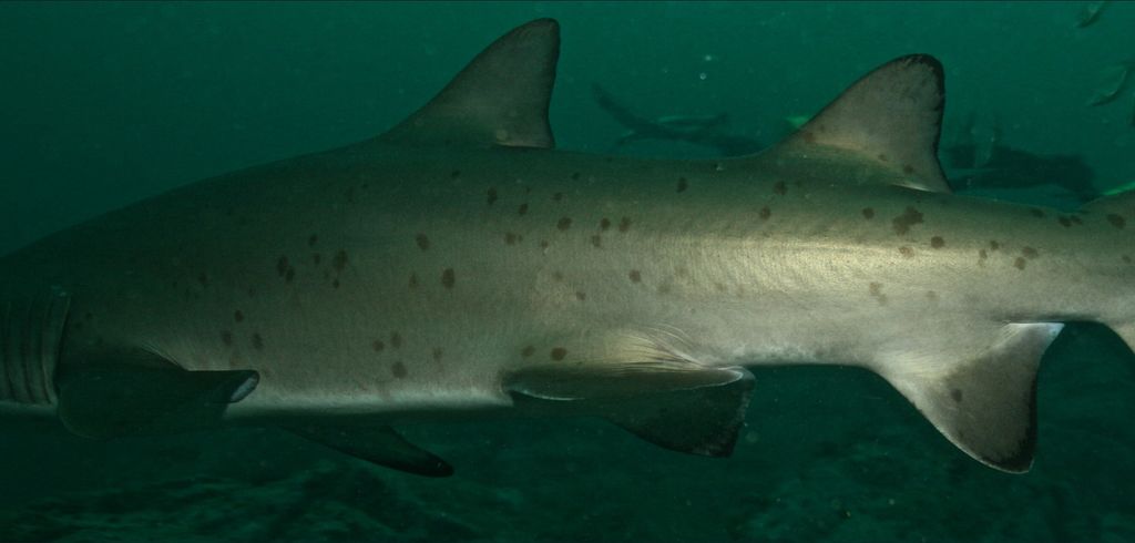 16761e09-d1f8-45d8-935f-d99324e465bc