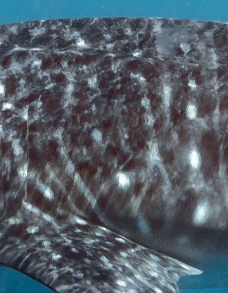 606b0d1e-24fb-48de-b900-c76eb4cde14d