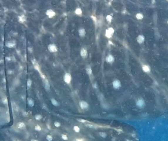 4c1364d8-b3a2-4bb9-b309-e6d81fb2fba1