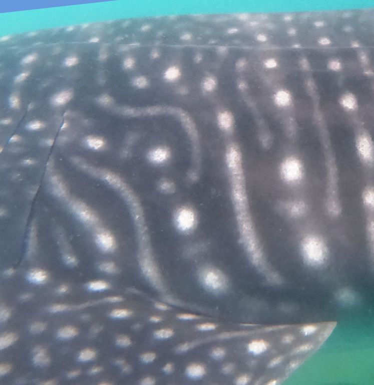 39c73da5-1e11-4fda-9d53-77273f6e23b7