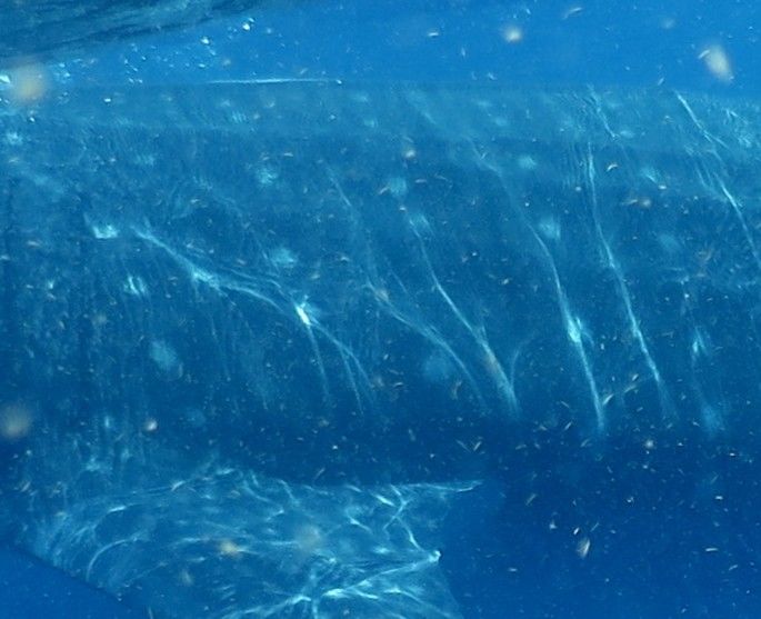 a6df80b9-c239-4bf8-a4c1-1a86412a1d1c