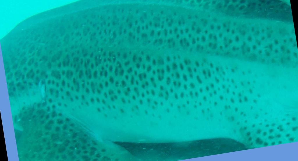 47645818-55ee-48f9-b9c9-8ff05b9d4250