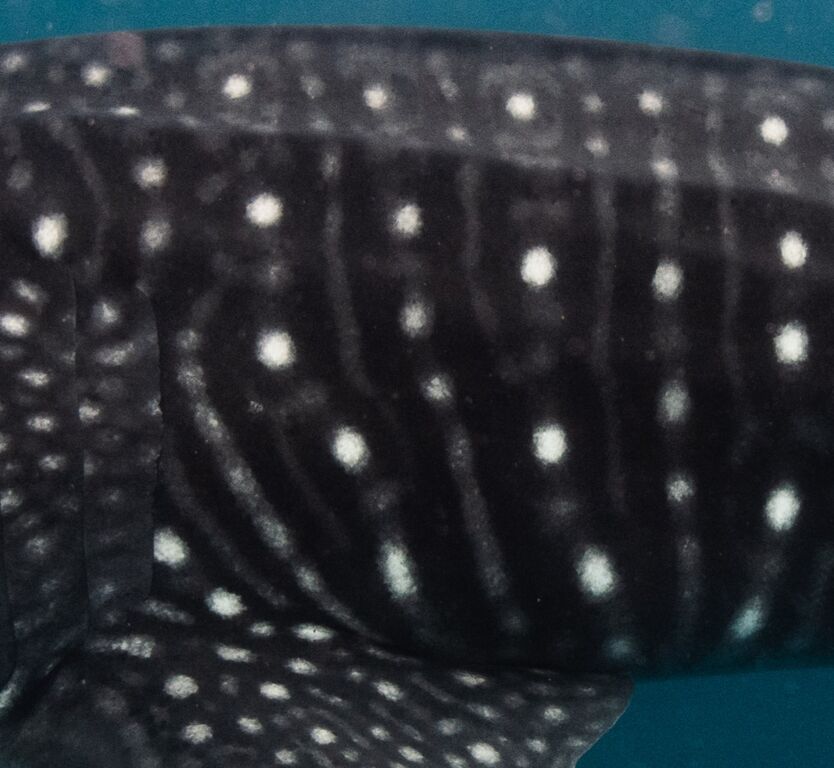 1be8b04a-c501-49ed-9d90-cb72b8e76f7a