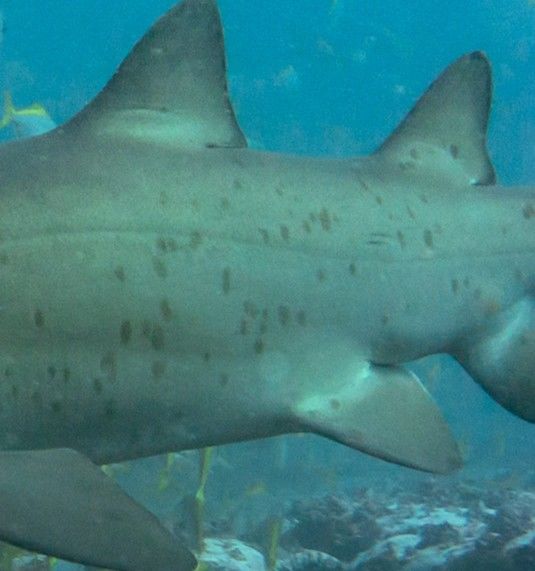 4e095a7c-b0c0-43db-b104-c727bae91348