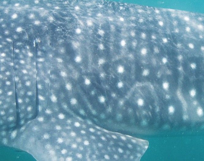 d3da3c36-7158-4249-977a-f27c2405115c