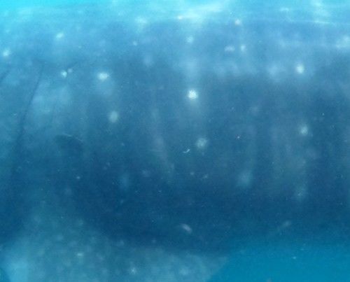 9399567e-c78b-4347-8096-d40548c434cc