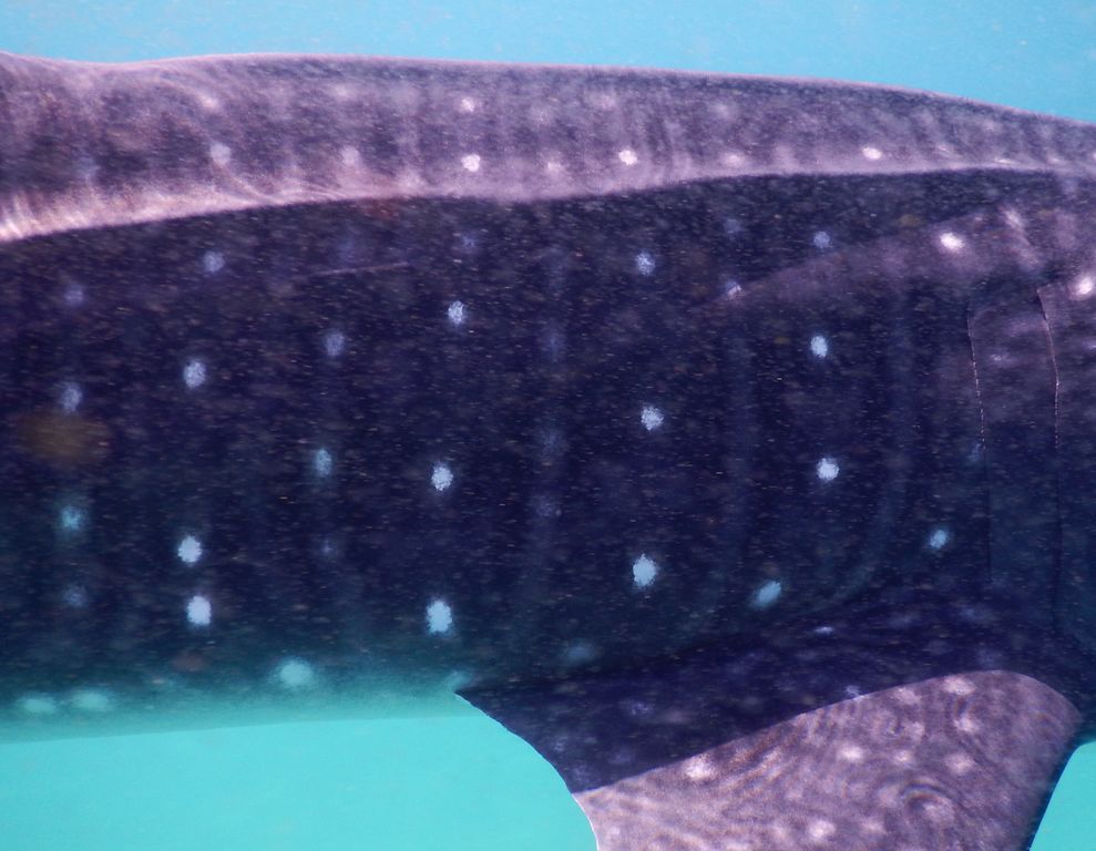 5aaa2dc3-2e77-4e8b-ac45-01ef9e97ff70