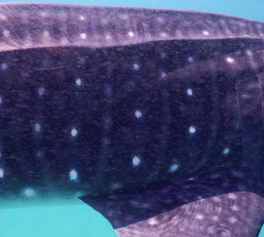 5aaa2dc3-2e77-4e8b-ac45-01ef9e97ff70