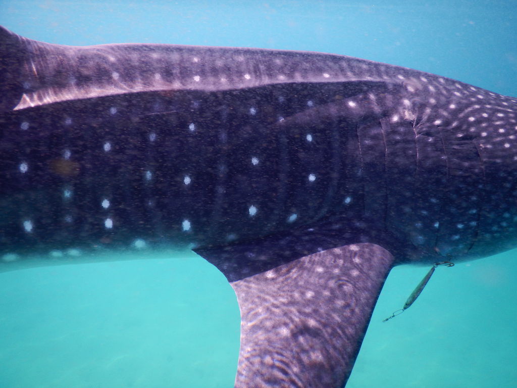 5aaa2dc3-2e77-4e8b-ac45-01ef9e97ff70