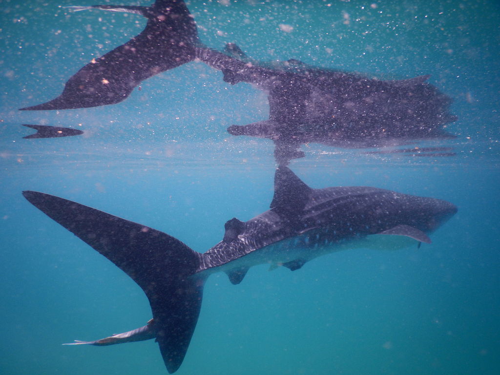 5aaa2dc3-2e77-4e8b-ac45-01ef9e97ff70