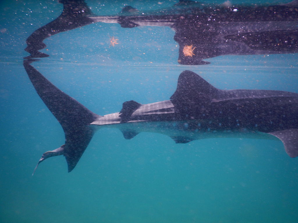 5aaa2dc3-2e77-4e8b-ac45-01ef9e97ff70