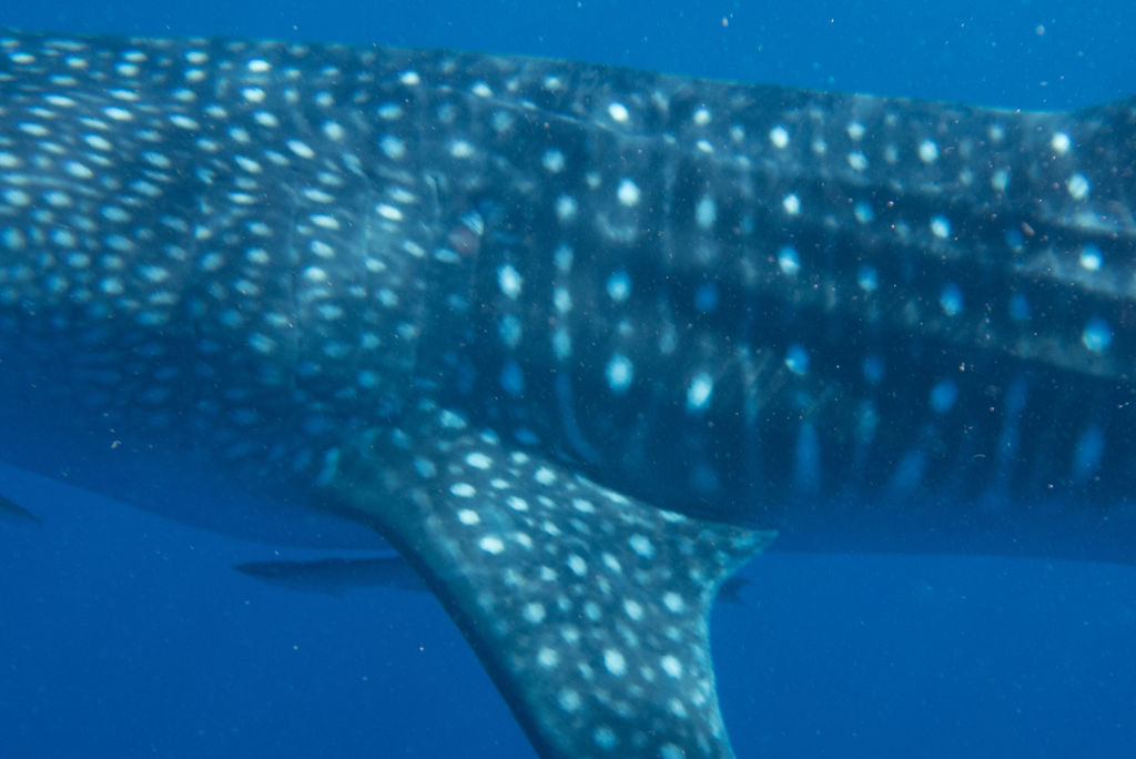 6bb32d94-255d-4ac9-af3e-84d88e031984