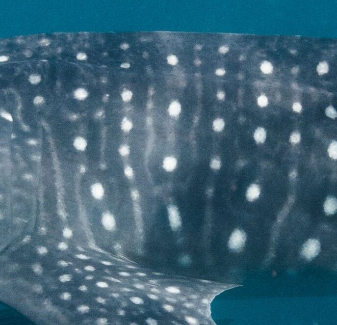 58296a3c-927e-4162-9547-87e2ac8c61f4