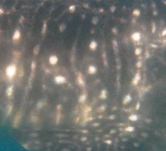 728f15ef-7772-46c6-b159-be3dcbeb9c8c