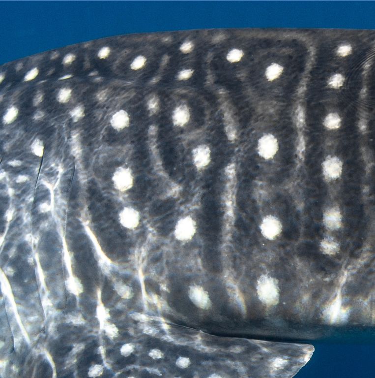 ca9c82c0-3b97-4e1b-89ad-b48a69699bde