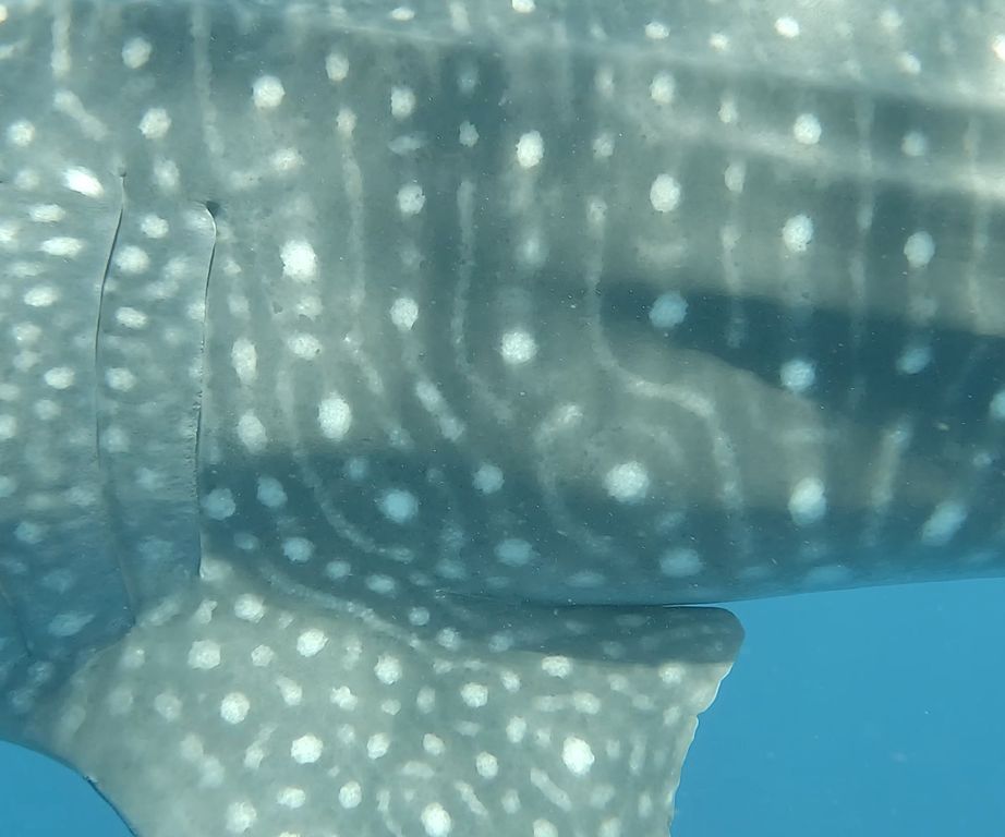 b50e042f-c06c-4239-afc3-941ebf515d62