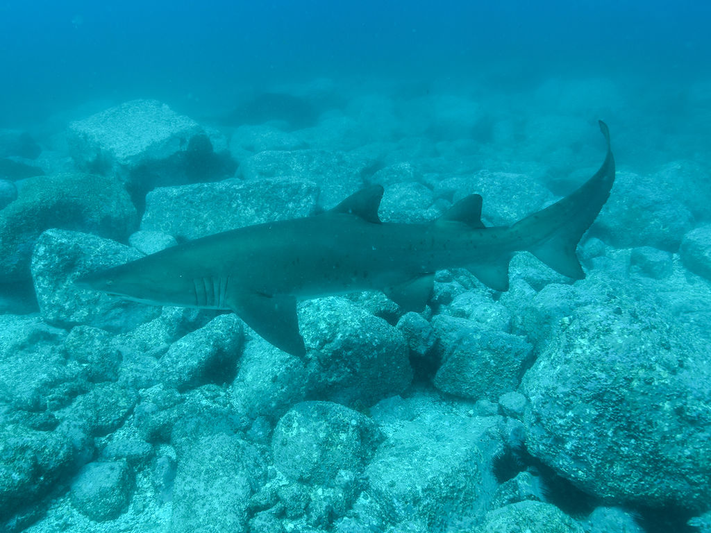 b669e0c9-b40f-492a-acda-3b3026f876b9