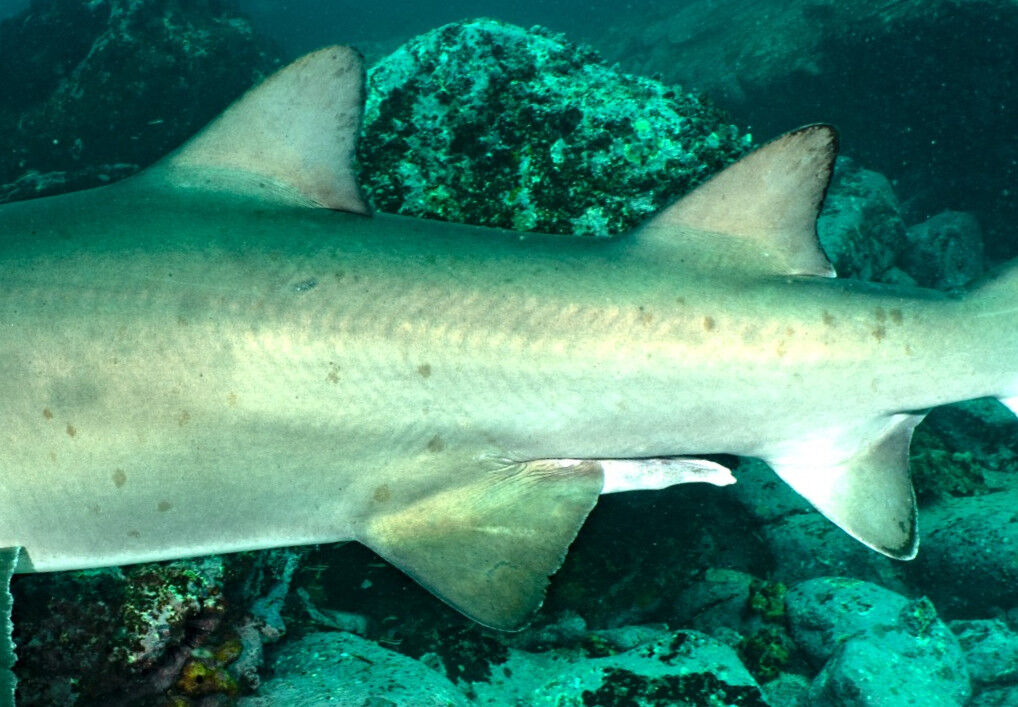 907b7e5b-48ac-40d6-baa3-99545f7a6921