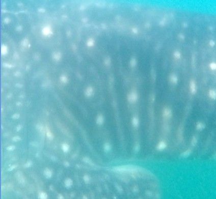 8f91a5de-35b5-4142-8872-5ea869e43429