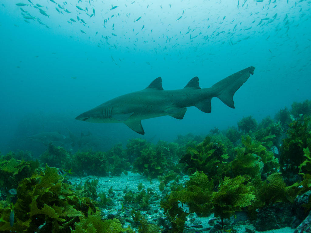 9bcddd17-2d17-45b4-8413-0d3c8adca1c0