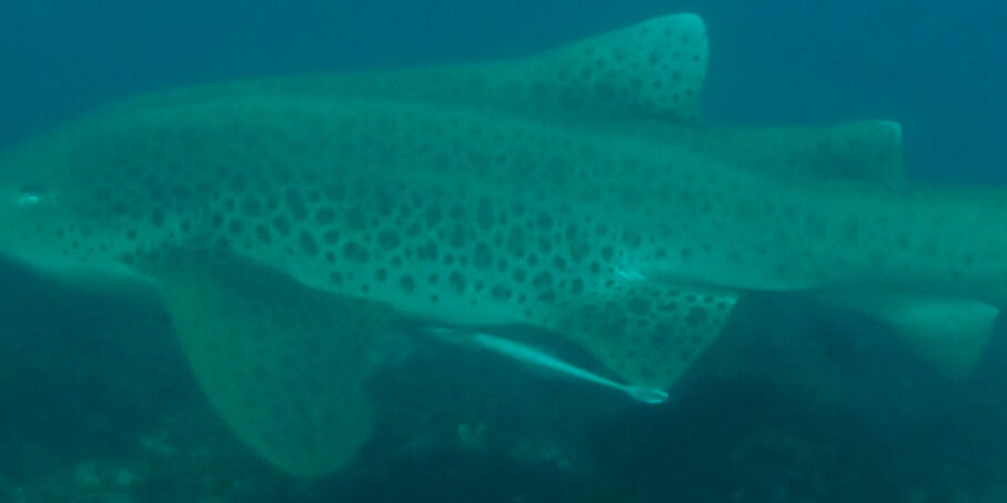 34d9b194-5317-4174-a80a-30e658b7f444