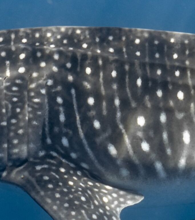 ccaf60c5-25db-42d3-b4d2-a2a362c046d3