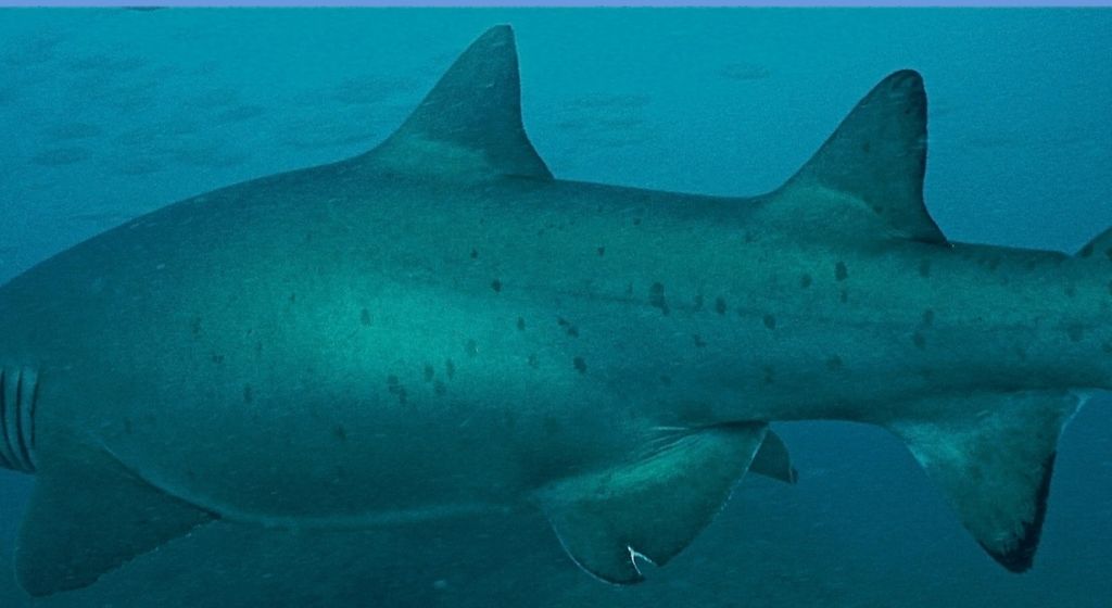 e9ebdcb7-12c1-4bb7-be53-9e6c303e0ec6