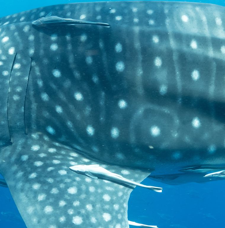 d00c0190-be90-4f45-bf5b-272a33656df2