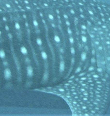 e7e64d88-44a7-4d6d-86a6-8f8f1f29b74b