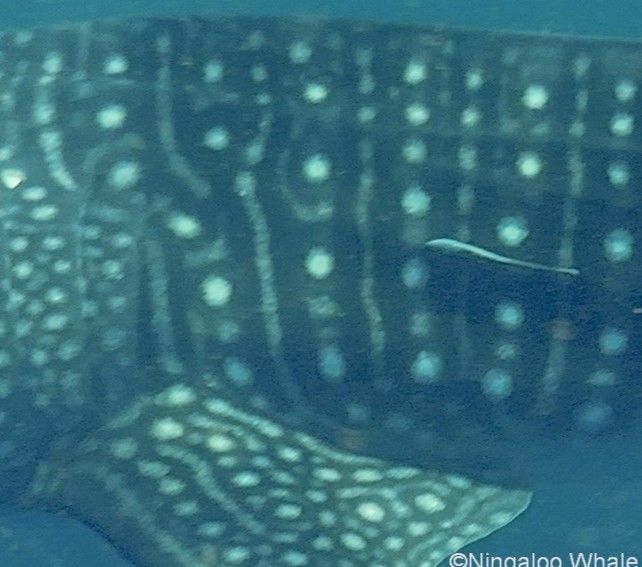 bf3a62dc-a892-414e-9870-affffd4b4d8a