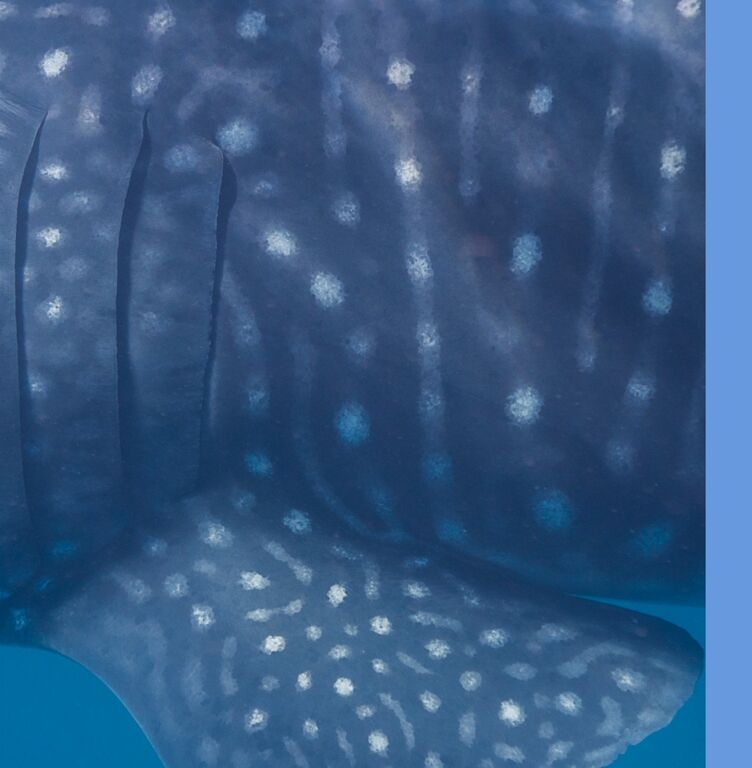 1c712fa3-2b4c-4b32-a024-7336d3ceeba0