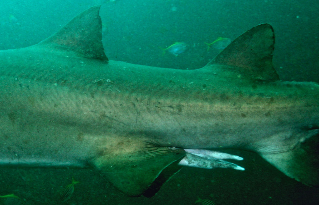 25e4be72-3e12-432e-bf2d-c9f34778a2c2