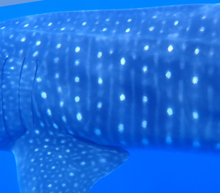 7b4b4ef0-ce4b-43cc-8049-5a9ba5c49fee