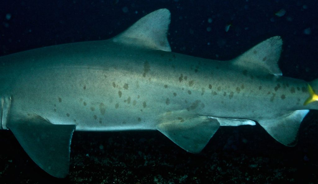 0fa968e4-7333-4f59-ac6b-561d90a1a498