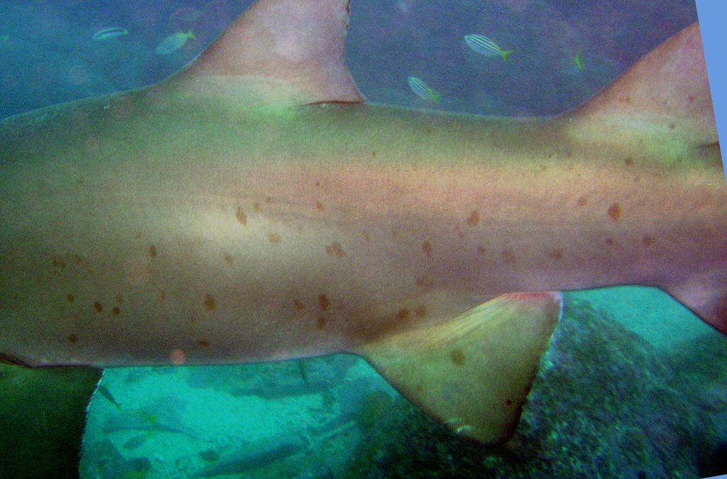 493e8e9f-4eac-4368-b000-0ca883a5c91b