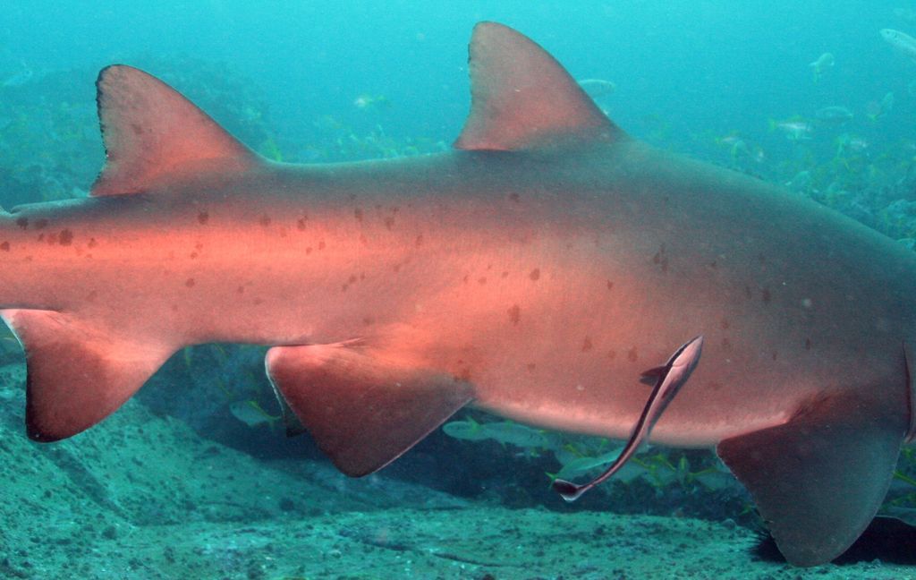 493e8e9f-4eac-4368-b000-0ca883a5c91b