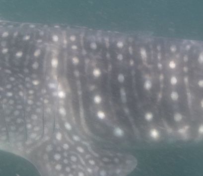 9e5a6967-63eb-42c8-9581-c6c806137860